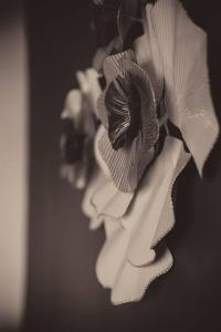 LEscapade Urbaine - Cosy et central