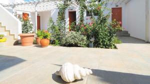 Ενοικιαζόμενα Διαμερίσματα Άρτεμις