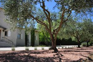 B&B / Chambres d'hotes Le Jardin des Amandiers : photos des chambres