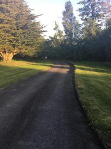 Mary cottage at Tonylion house