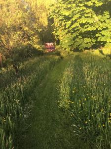 Mary cottage at Tonylion house