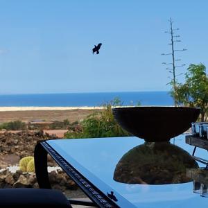 Finca La Estrella by Don Robertos Finca Paraíso