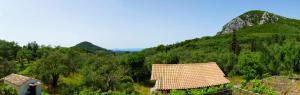 Eleonas-Olive grove traditional holiday appartment