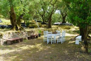 Eleonas-Olive grove traditional holiday appartment