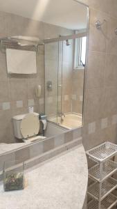 A1 Flats Radisson Berrini