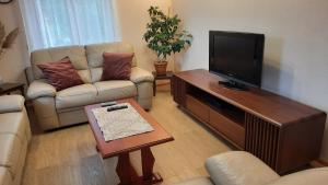 Apartment Home Popovic