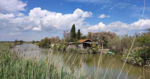 Maisons d'hotes NOSTAL'GITE : photos des chambres