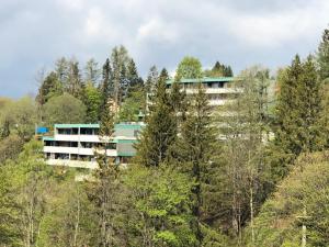 Harzgrün 4 - Apartment mit Balkon und Weitblick