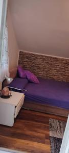Apartman-Jovic