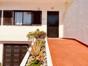 Ocean view - Baleal beach house - Surf & Relax