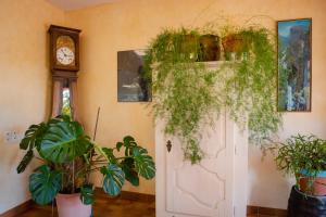 Hotels Hotel Sainte Anne : photos des chambres
