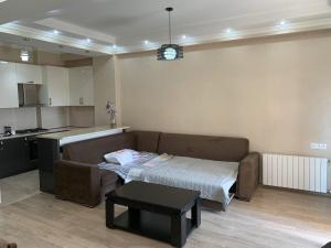 APARTMENT IN THE NEW CITY