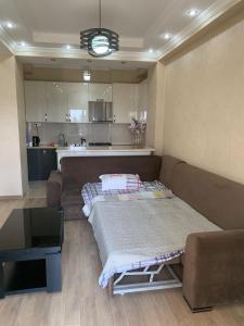 APARTMENT IN THE NEW CITY