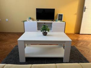 Apartman Mijailović 3