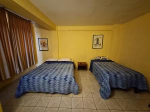 HOTEL ASTORE Matta 2537