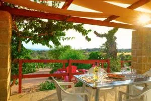 Grazioso Monolocale della Casa dell'Olivo - 萨尔维