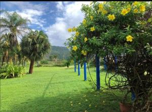 Villa Vitali - Casa vacacional con Piscina y Jardines en Morrocoy para 14 personas