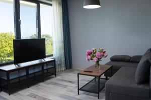 Luxury apartment Vodolei