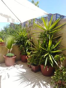 Apartamento Turístico Príncipe Cáceres AT-CC-00415