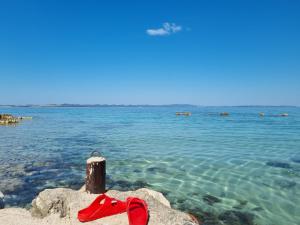 Robinson house Ruža