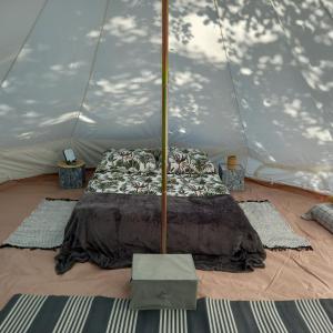 Nalu Glamp