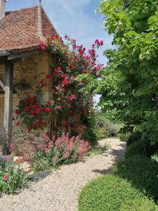 Maisons de vacances Gite de la Tuiliere : photos des chambres