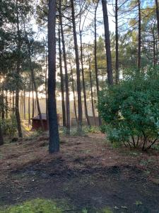 AGREABLE T2 LISIERE DU GOLF LACANAU OCEAN