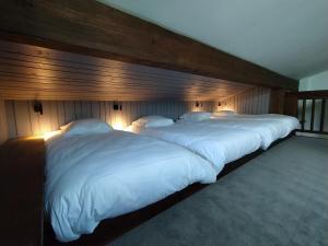 Appart'hotels Chalet Appart'Hotel l'Eau Vive : photos des chambres