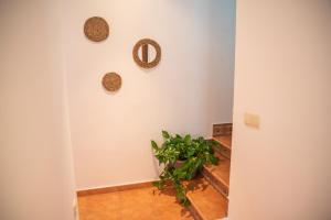 Casa Rural El Cabo