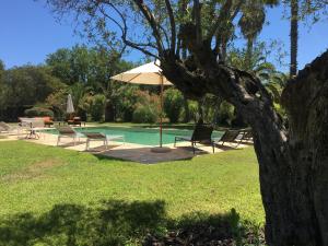 B&B / Chambres d'hotes Clos des Vignes Pampelonne Vineyard : Suite - Vue sur Piscine 