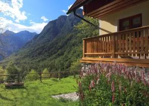 Zadnjica Holiday House - 索卡