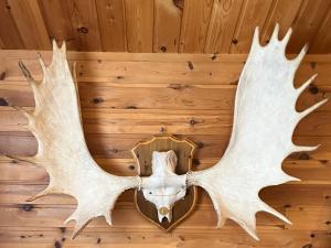 Piilijärvi Camping