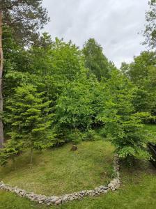 Noclegi Dębowe Ranczo