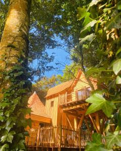 Lodges LeJardinZenduQuistillic : photos des chambres