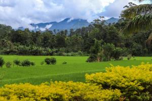 Ella Nature valley homestay