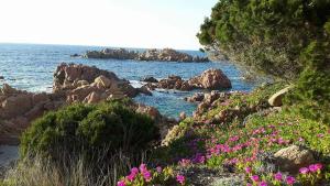 Casa Vacanze VILLA SANDRINA img35