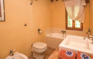 CountrY Side Chic Roma