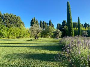 Maisons d'hotes Mas des Bambous : photos des chambres