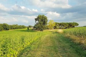 Maisons de vacances Gite de campagne L'Estressol : photos des chambres