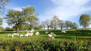 Maison dhôtes Tripn Touille