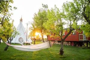 Slapen tussen de schapen in pipowagen de Ome Jan - Tweesluizen