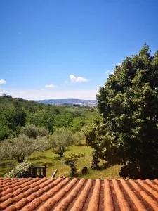 Apartma Rok - Plavje