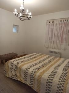 Appartements Joss Nath homes : Appartement 1 Chambre