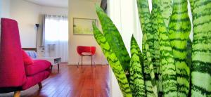 House with large terrace, jacuzzi and gated parking for one car