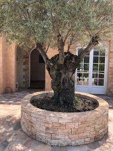 Grande Villa 4 étoiles 20pax entre Cannes and Saint Tropez