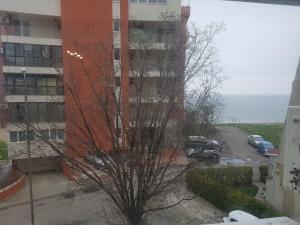 Apartament Plaja Reyna