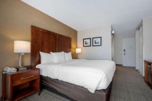 King Room room in Comfort Inn The Pointe