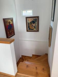 Rooftop Penthouse Lamartine Polanco