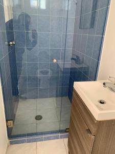 Rooftop Penthouse Lamartine Polanco