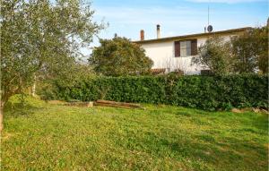 Nice Apartment In Magliano In Toscana